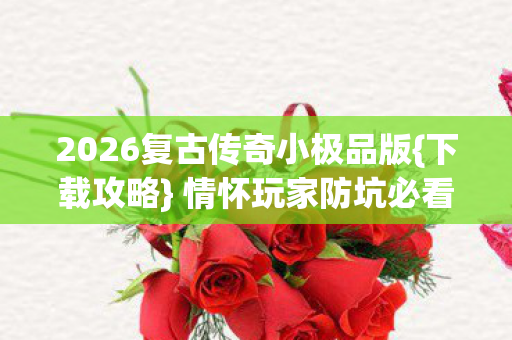 2026复古传奇小极品版{下载攻略} 情怀玩家防坑必看手册