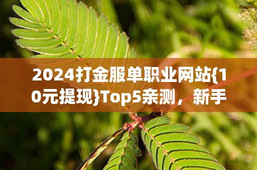 2024打金服单职业网站{10元提现}Top5亲测，新手避雷必看