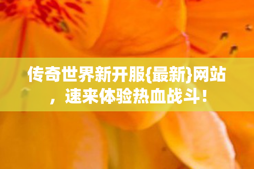 速来体验热血战斗图片