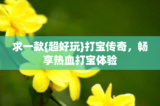 求一款{超好玩}打宝传奇，畅享热血打宝体验
