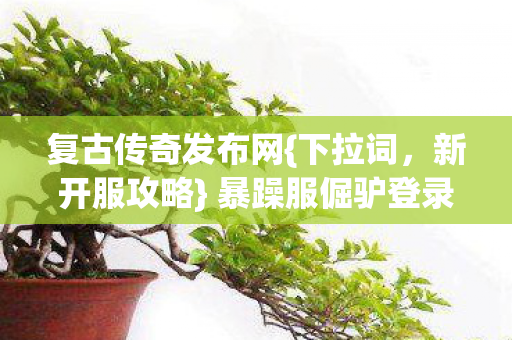 暴躁服倔驴登录生存指南图片