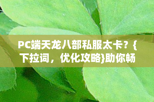 PC端天龙八部私服太卡图片
