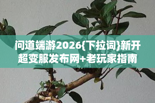 问道端游2026图片