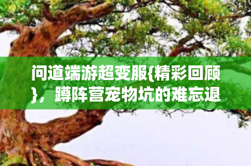 蹲阵营宠物坑的难忘退游经历图片