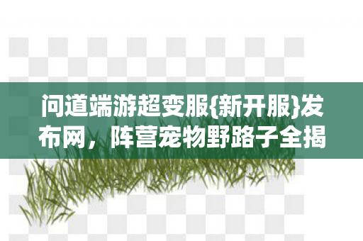 阵营宠物野路子全揭秘图片