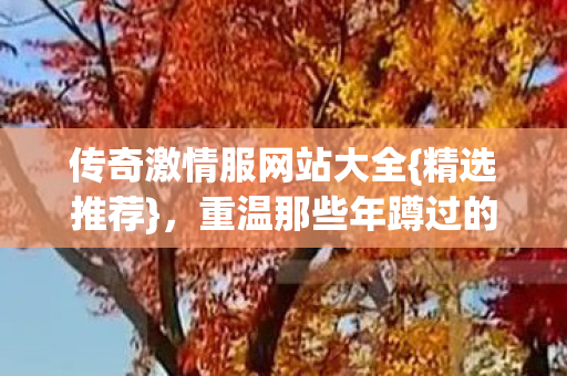 传奇激情服网站大全{精选推荐}，重温那些年蹲过的戏精服务器
