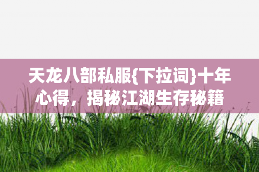 天龙八部私服{下拉词}十年心得，揭秘江湖生存秘籍