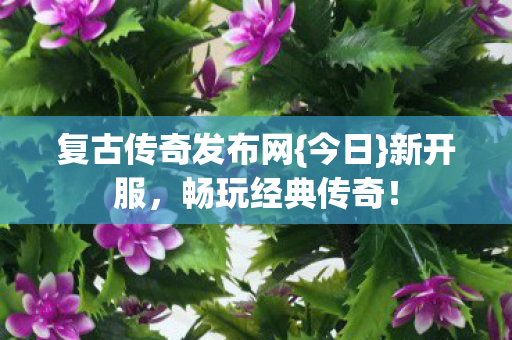 复古传奇发布网图片