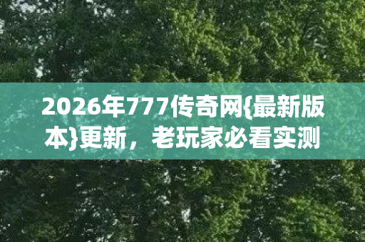 2026年777传奇网{最新版本}更新，老玩家必看实测认证服选择