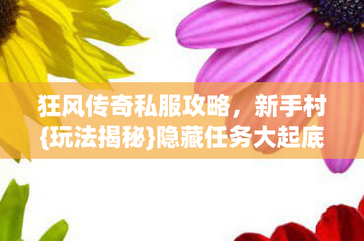 狂风传奇私服攻略，新手村{玩法揭秘}隐藏任务大起底！