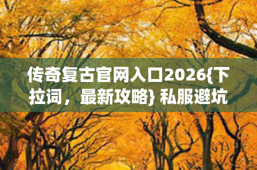 传奇复古官网入口2026图片
