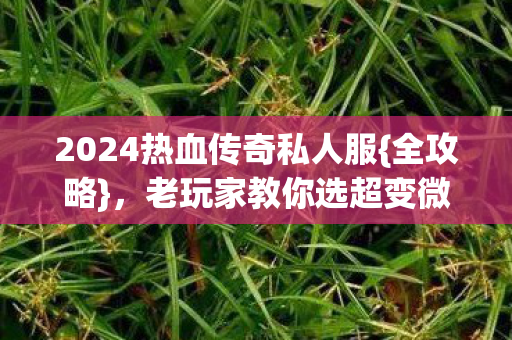 2024热血传奇私人服{全攻略},老玩家教你选超变微变轻变 2024热血传奇私人服{全攻略},老玩家教你选超变微变轻变