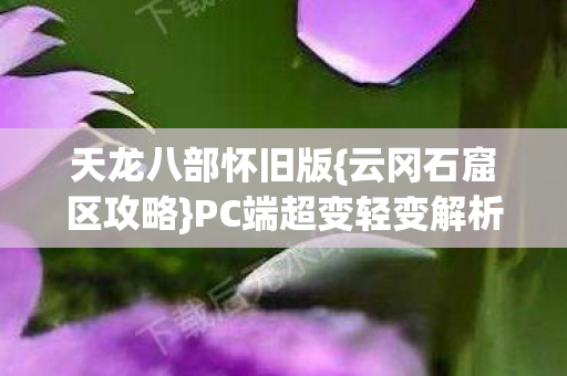 PC端超变轻变解析新人避坑图片