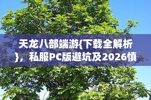 私服PC版避坑及2026慎选版本图片