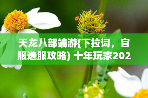 十年玩家2026年避坑指南图片