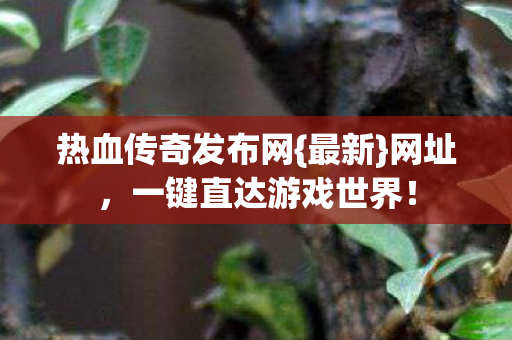 一键直达游戏世界图片
