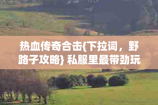 私服里最带劲玩法揭秘图片