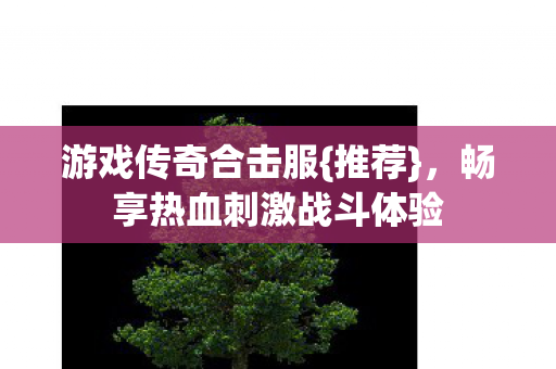 游戏传奇合击服{推荐}，畅享热血刺激战斗体验