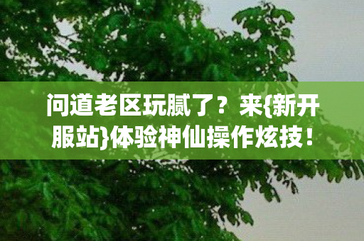 问道老区玩腻了？来{新开服站}体验神仙操作炫技！