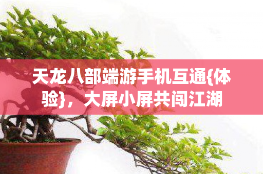 天龙八部端游手机互通图片