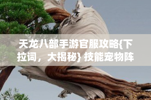 技能宠物阵营玩法全解析图片