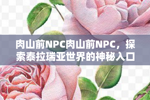 肉山前NPC肉山前NPC，探索泰拉瑞亚世界的神秘入口，探索泰拉瑞亚，揭秘肉山前NPC的神秘面纱