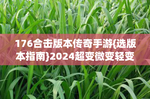 176合击版本传奇手游{选版本指南}2024超变微变轻变避坑攻略