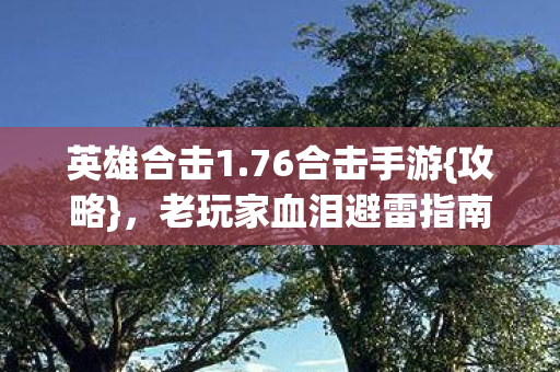 英雄合击1.76合击手游{攻略}，老玩家血泪避雷指南