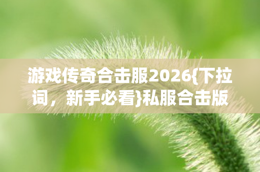 游戏传奇合击服2026{下拉词，新手必看}私服合击版隐藏地图攻略