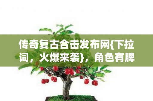 传奇复古合击发布网{下拉词，火爆来袭}，角色有脾气玩法成兄弟超上头