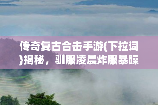 传奇复古合击手游{下拉词}揭秘，驯服凌晨炸服暴躁老哥