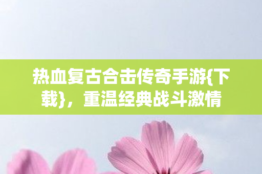 热血复古合击传奇手游图片