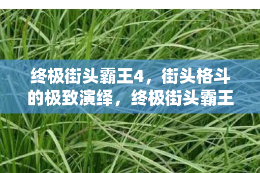 终极街头霸王4，街头格斗的极致演绎，终极街头霸王4，街头格斗的极致演绎