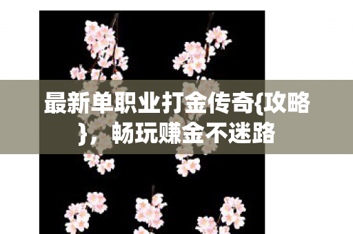 最新单职业打金传奇{攻略},畅玩赚金不迷路 最新单职业打金传奇{攻略},畅玩赚金不迷路