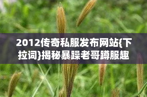 2012传奇私服发布网站{下拉词}揭秘暴躁老哥蹲服趣事