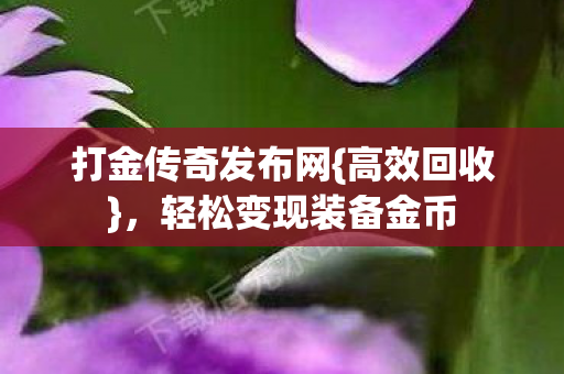打金传奇发布网{高效回收}，轻松变现装备金币
