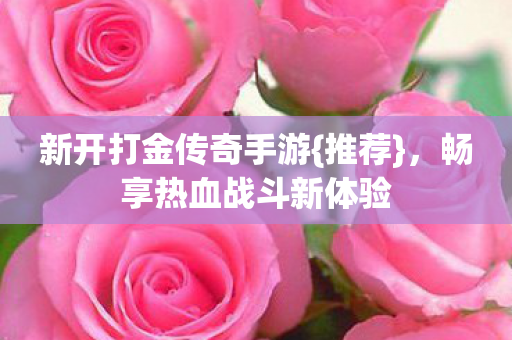 新开打金传奇手游{推荐}，畅享热血战斗新体验