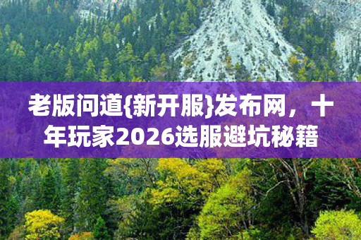 十年玩家2026选服避坑秘籍图片