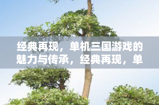经典再现,单机三国游戏的魅力与传承,经典再现,单机三国游戏的魅力与传承 经典再现,单机三国游戏的魅力与传承,经典再现,单机三国游戏的魅力与传承
