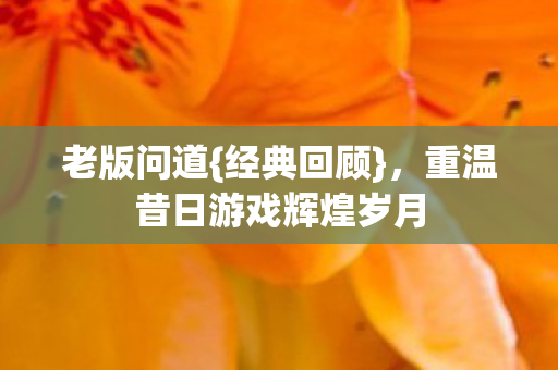 老版问道{经典回顾}，重温昔日游戏辉煌岁月