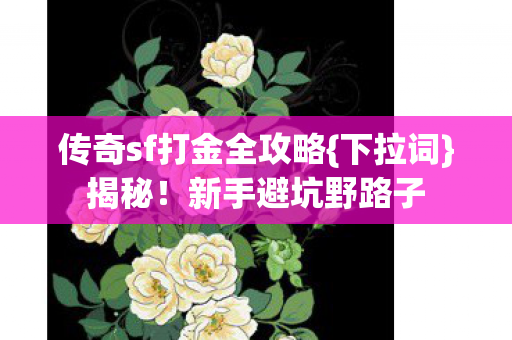传奇sf打金全攻略{下拉词}揭秘！新手避坑野路子