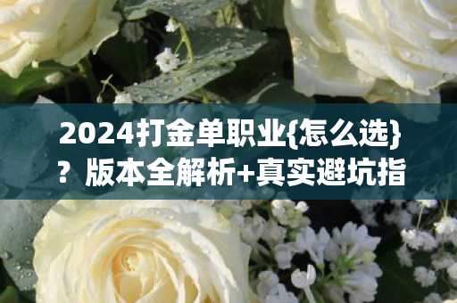 2024打金单职业{怎么选}？版本全解析+真实避坑指南