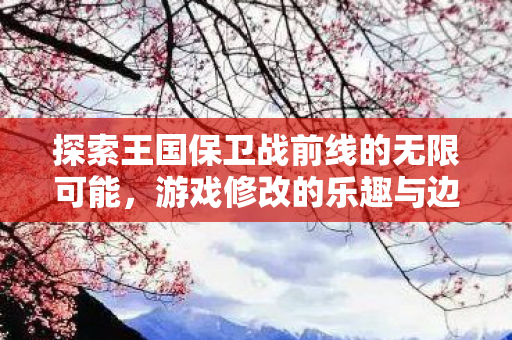 探索王国保卫战前线的无限可能，游戏修改的乐趣与边界，探索游戏修改的乐趣与边界，王国保卫战前线的无限可能