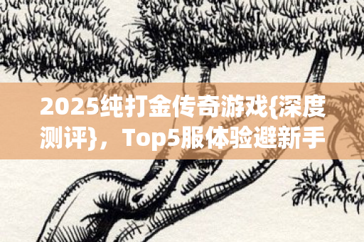 2025纯打金传奇游戏{深度测评},Top5服体验避新手雷区 2025纯打金传奇游戏{深度测评},Top5服体验避新手雷区