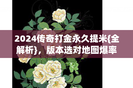 2024传奇打金永久提米{全解析}，版本选对地图爆率才高