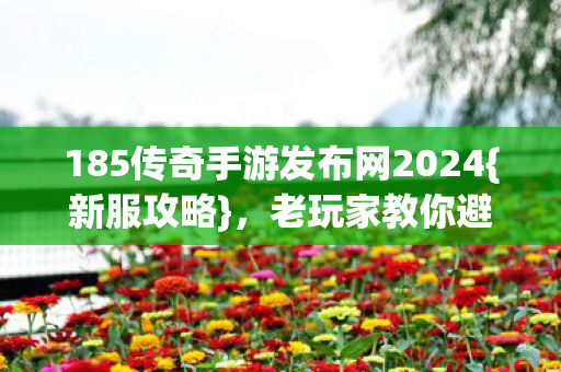 185传奇手游发布网2024图片