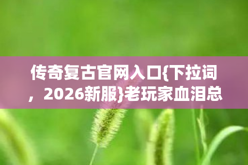 老玩家血泪总结避坑指南图片