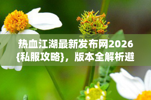 热血江湖最新发布网2026{私服攻略},版本全解析避坑指南 热血江湖最新发布网2026{私服攻略},版本全解析避坑指南