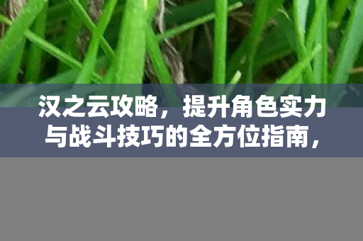 汉之云攻略，提升角色实力与战斗技巧的全方位指南，汉之云，全方位提升角色实力与战斗技巧攻略
