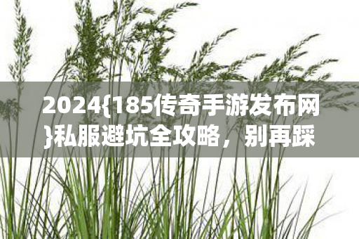 185传奇手游发布网图片